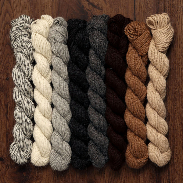 Origins Limited Collection - 100% Baby Alpaca Undyed Yarn Wool 8 Hanks DK Weight