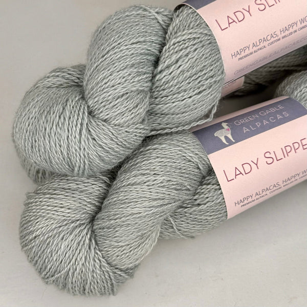 Lady Slipper Fingering Weight Yarn | Coasta
