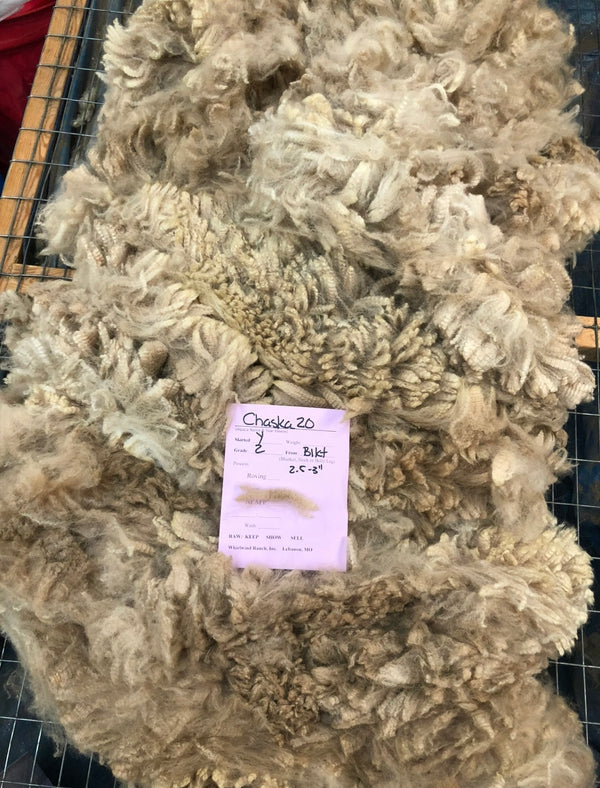 Light Fawn Alpaca Fiber - Chaska20