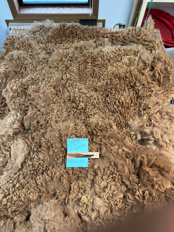 Medium Fawn Alpaca Fiber - Remy25