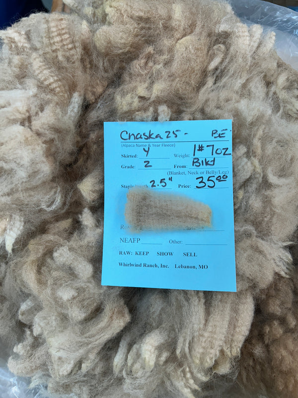 Light Fawn Huacaya Alpaca Fiber - Chaska25