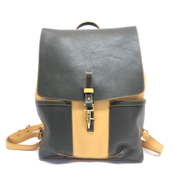 Multicolored Knapsack