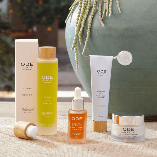 Social Club Spring 2026 The ODE Haven