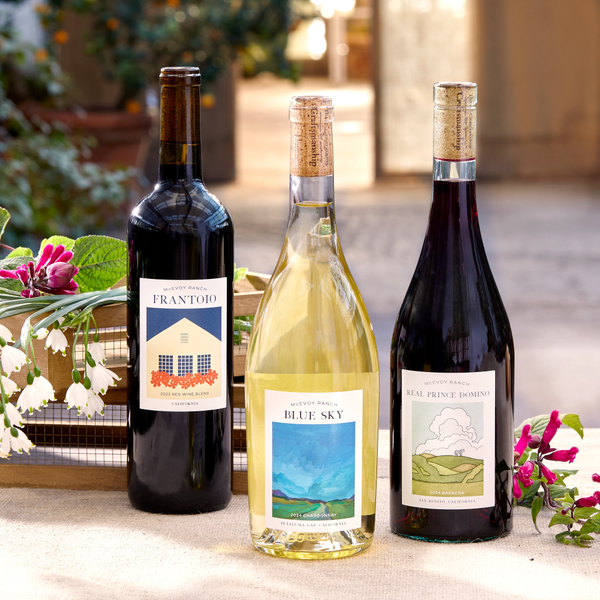 Social Club Spring 2026 The Vineyard