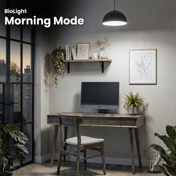 BioLight Full Spectrum Lightbulbs