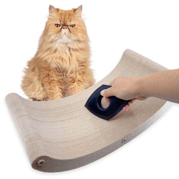 The Fur-nomenal Fur Remover