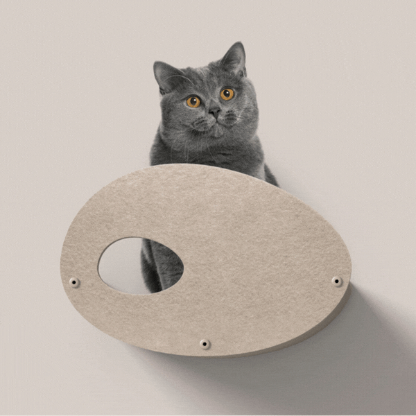 Oatmeal Curved Nest Cat Climber with Facade
