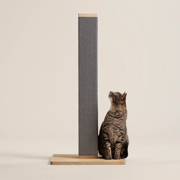 Zip Scratching Post
