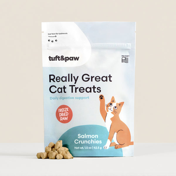 Really Great Cat Treats