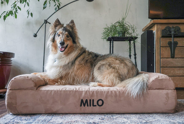 Item Personalization