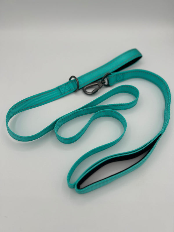 Flat nylon dog leash with double handle