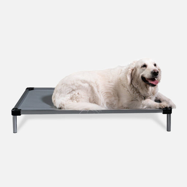 Chew Proof Armored™ Vinyl Dog Bed - Open Box