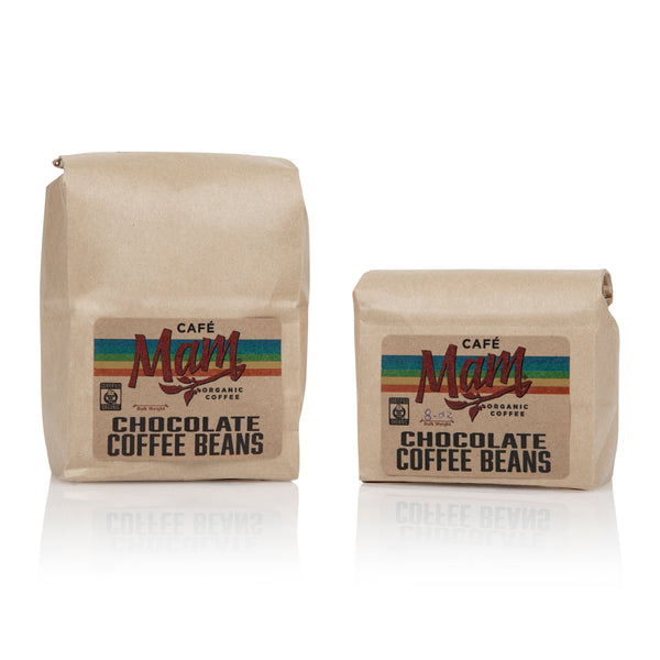 Chocolate Covered Coffee Beans