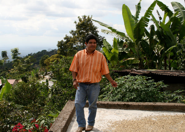 1/2 Regular & 1/2 Decaf Emerald City Blend