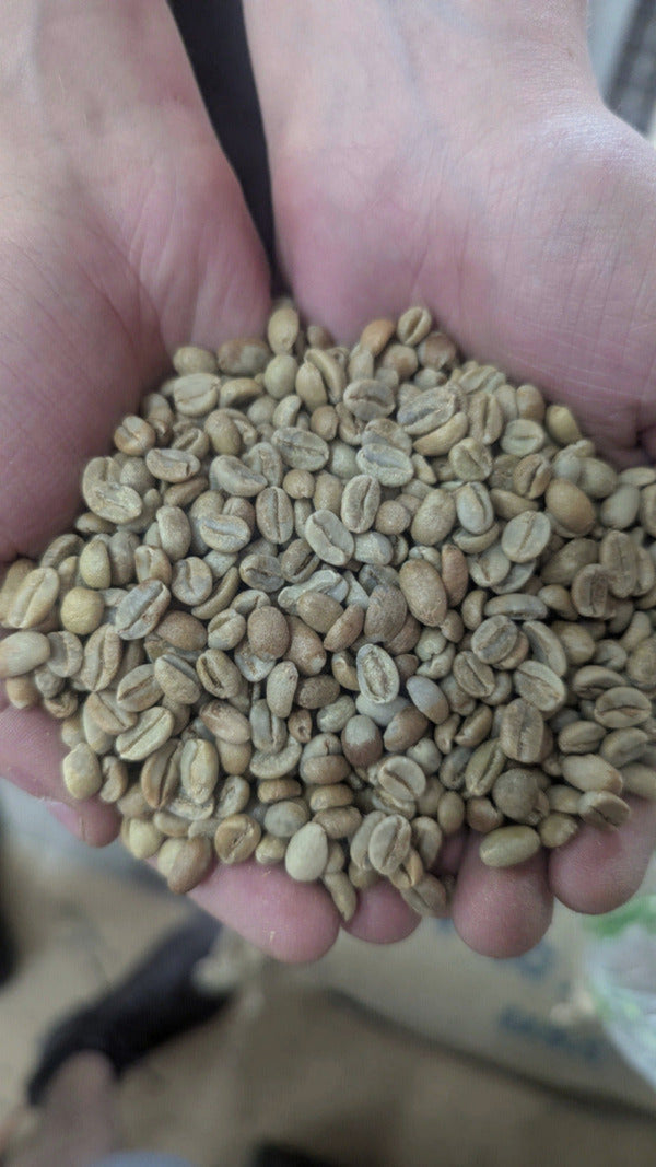 Organic Green Coffee