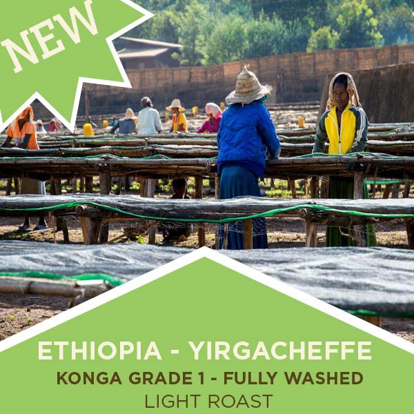 Ethiopia - Yirgacheffe | Konga - Grade 1 | Fully Washed | Light Roast
