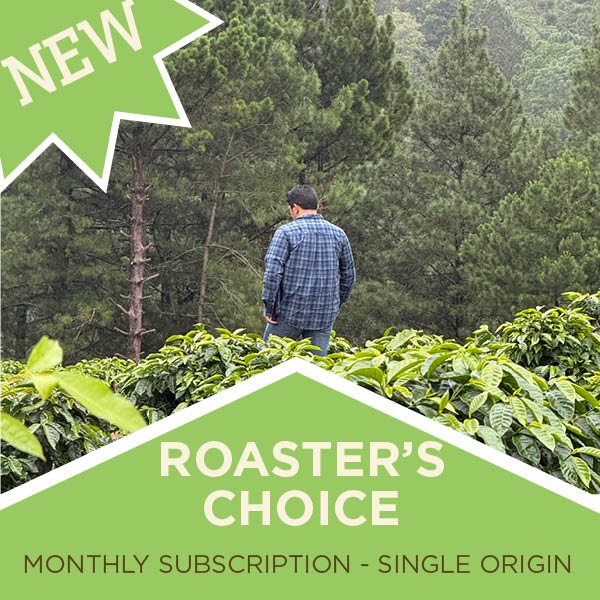 Roasters Single Origin Subscription