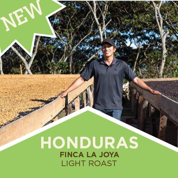 Honduras | Artisan Reserve | Double Fermentation | Finca La Joya - Light Roast