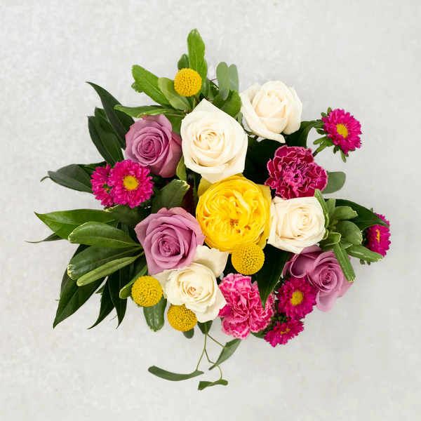 Monthly Designer Collection