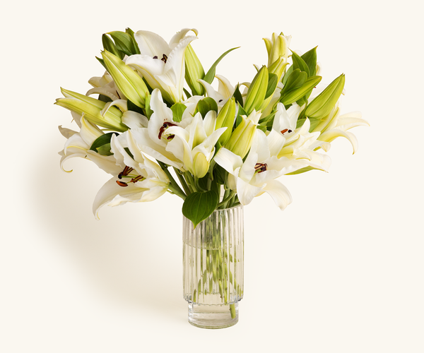 Easter Lilies