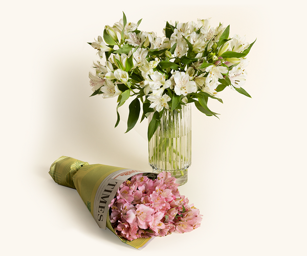 Summit Sotheby's Send