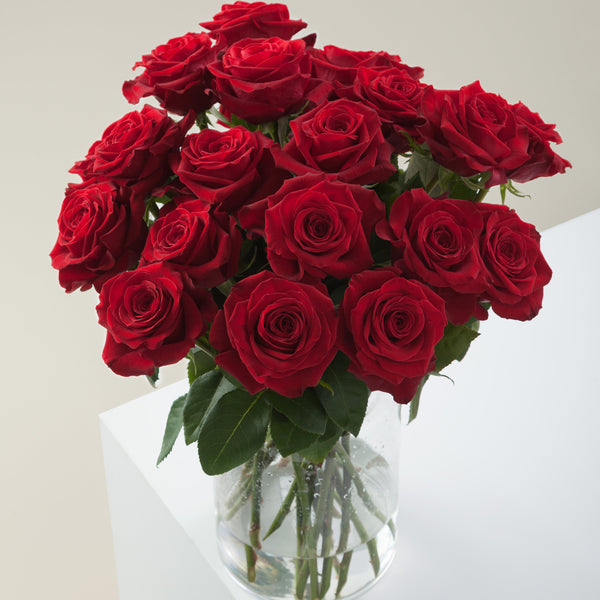 Red Romantic Long Stem Roses