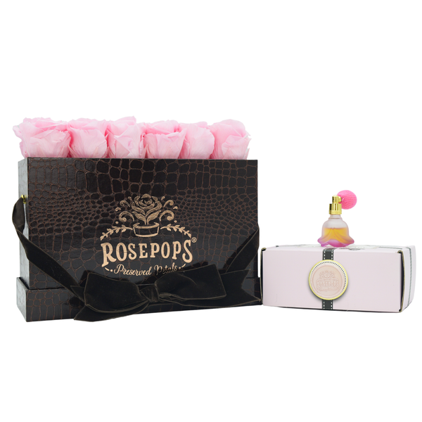 Chocolate Keeper by the Dozen DELUXE