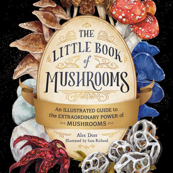 The Little Book of Mushrooms: An Illustrated Guide to the Extraordinary Power of Mushrooms