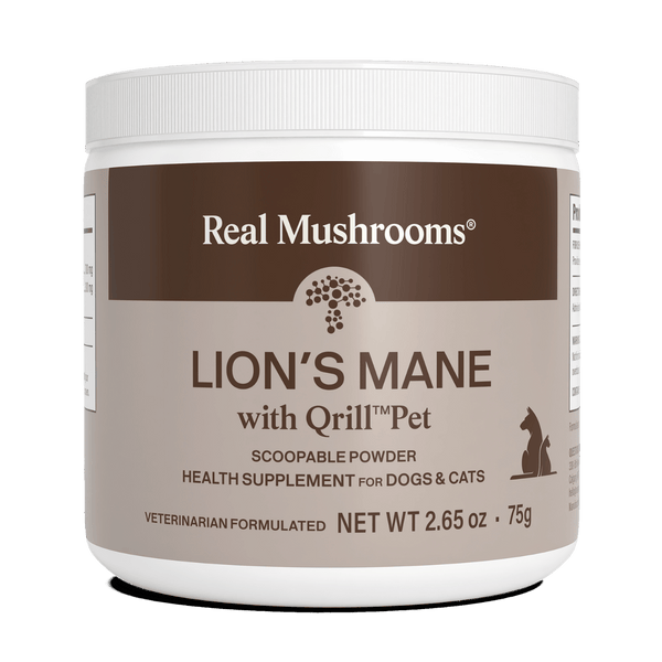 The Fungi Medicine District