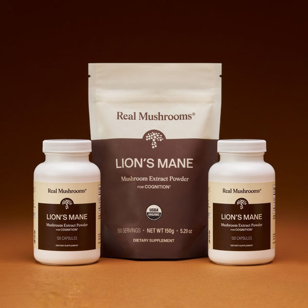 Lion's Mane Focus Bundle