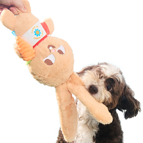 Veggie Reggie Plush Tug + Extra-Large Dog Toy