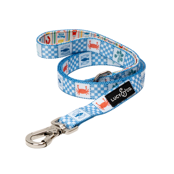 Sunny in Sicily Leash