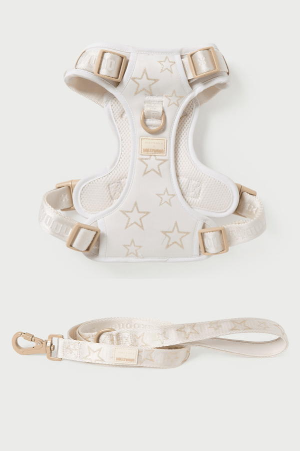 maxbone x Hollywood Walk Set