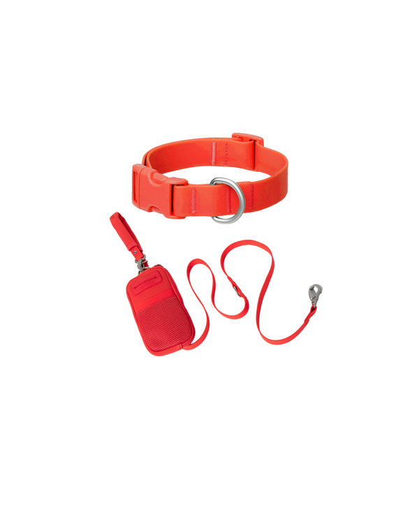 Original Dog Walk Bag with Leash + Collar Set