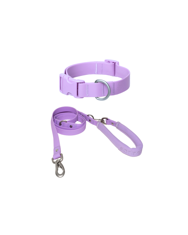 Original Leash + Collar Set