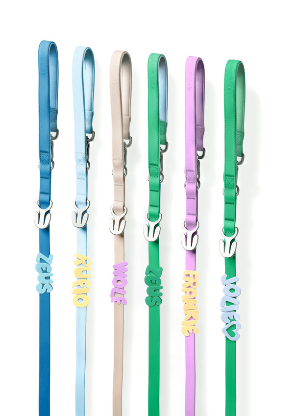 Personalized Waterproof Dog Leash with Charms - 5ft