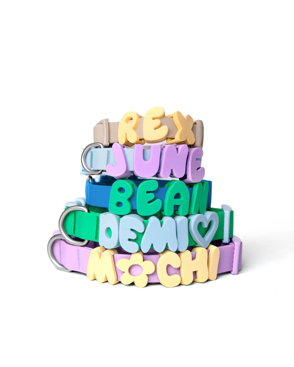 Personalized Waterproof Dog Collar with Charms