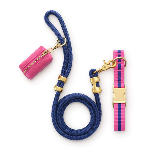 Sloane Striped Webbing Collar Walk Set