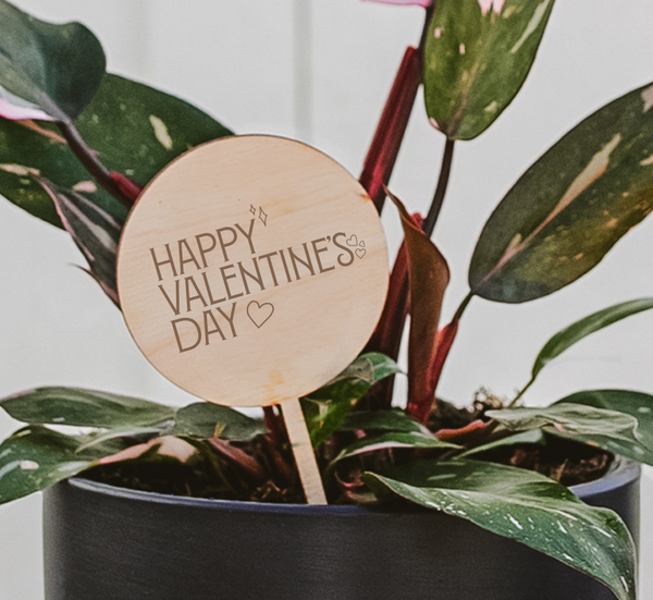 Valentine's Day Plant Pick