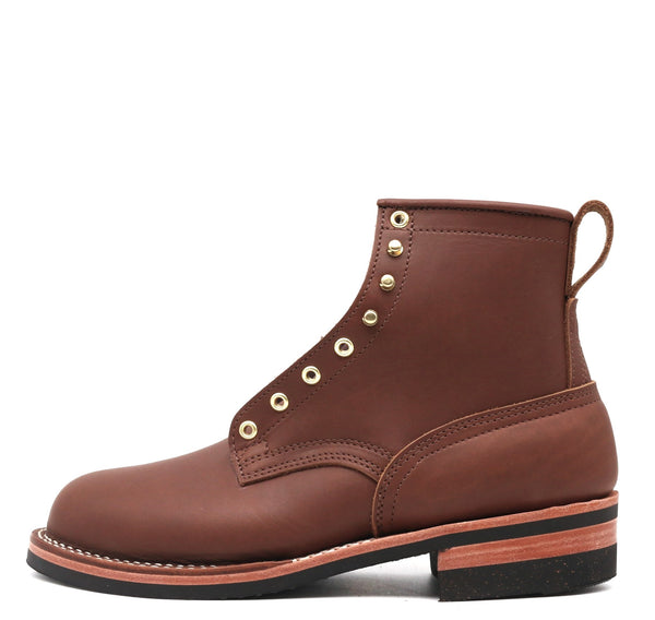 Falcon 10 D - Ready To Ship!