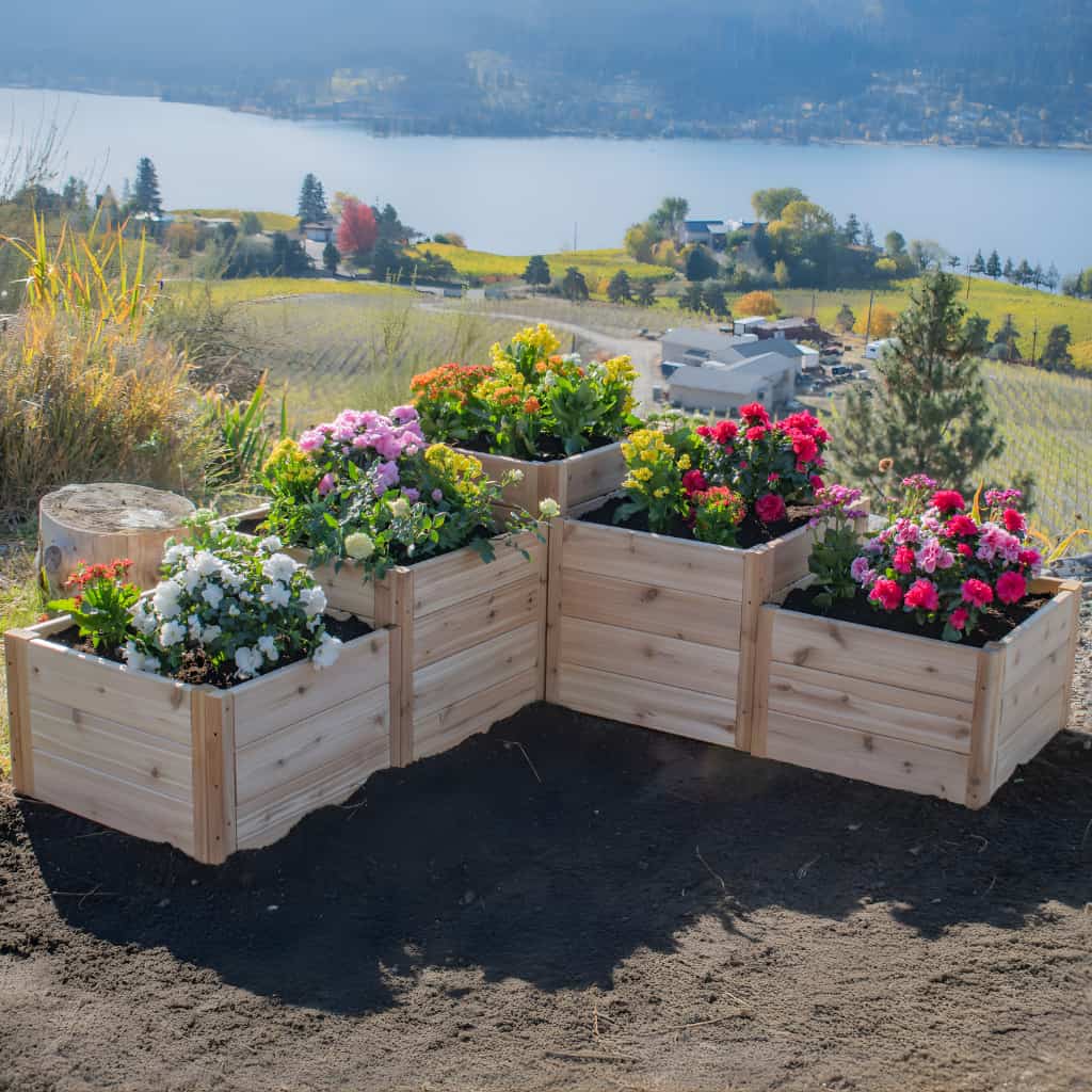 Outdoor Living Today 5.5 ft x 2 ft Tiered Cedar L-Shaped Garden Bed