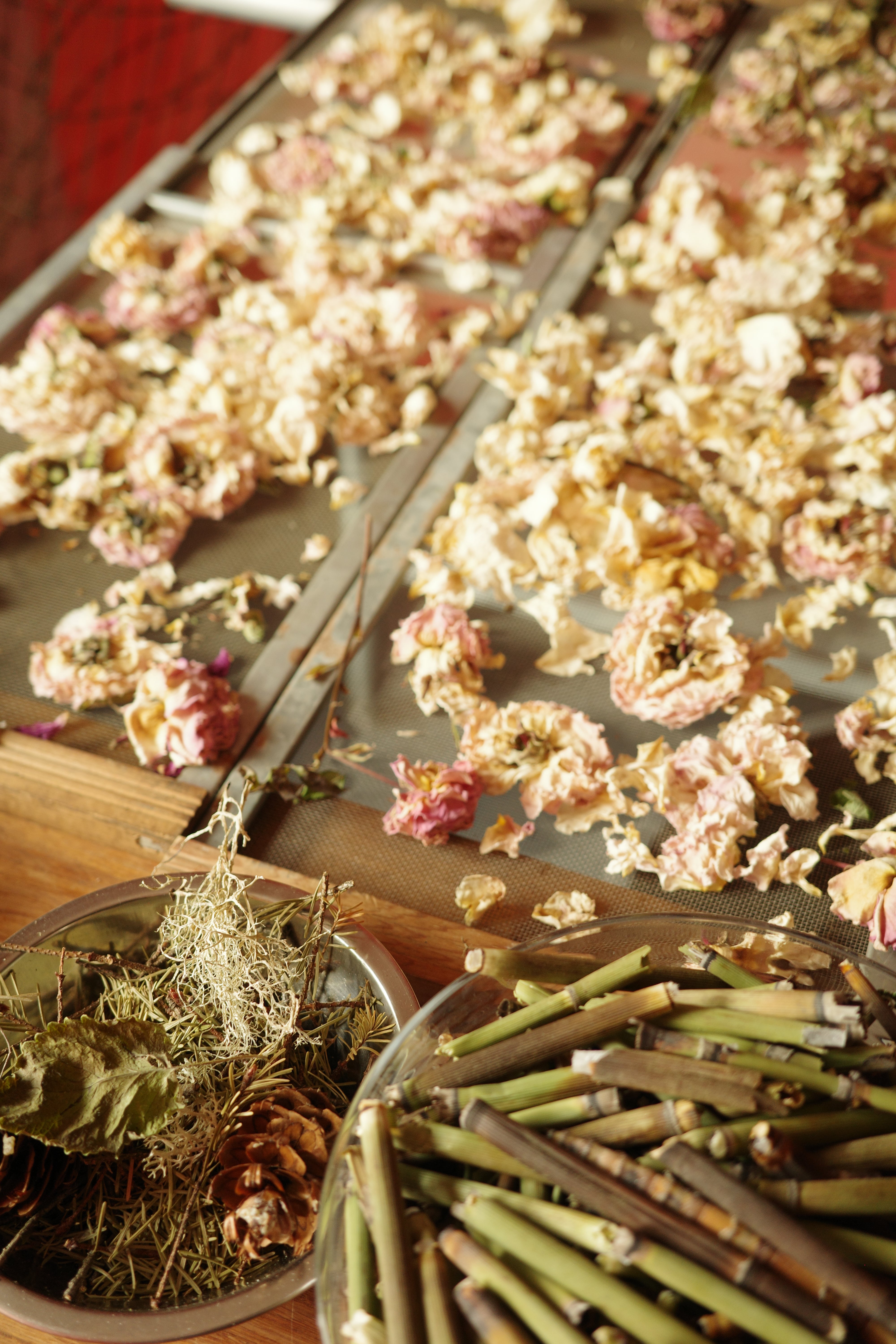 Workshop: Body Scrubs and Polishes