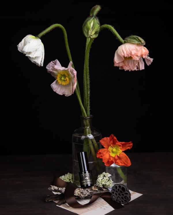 POPPY | Eau de Parfum - cocoa, orris, and labdanum
