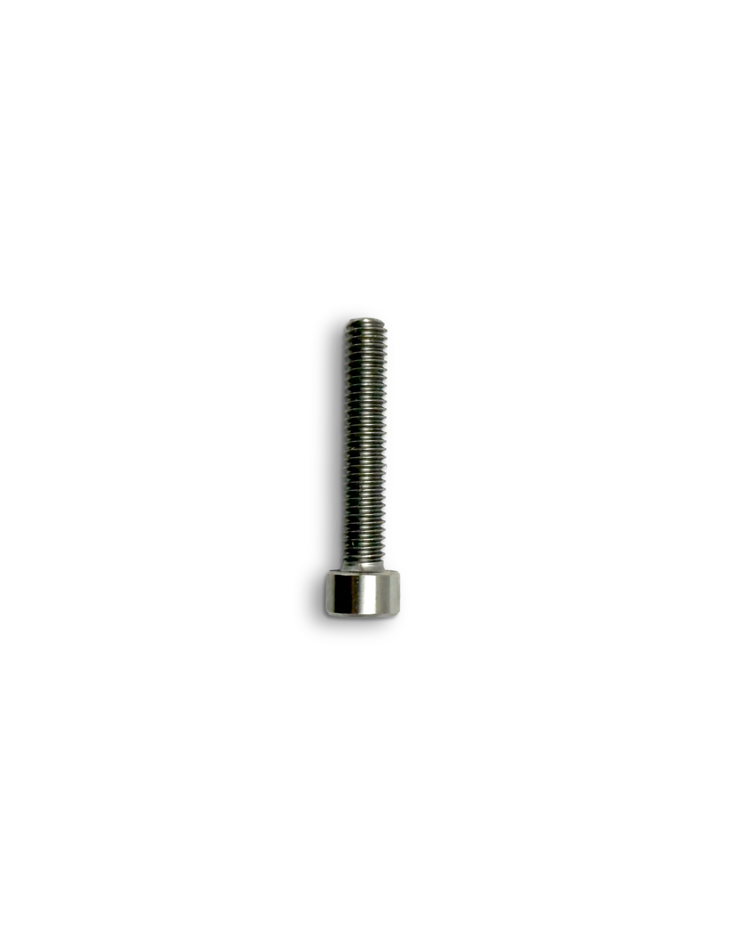 MOUNTING BOLT