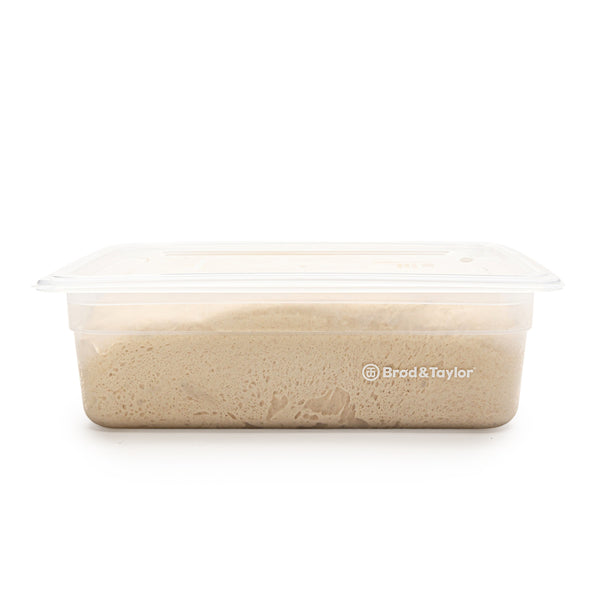 Set of 2 Proofing Container (6L)