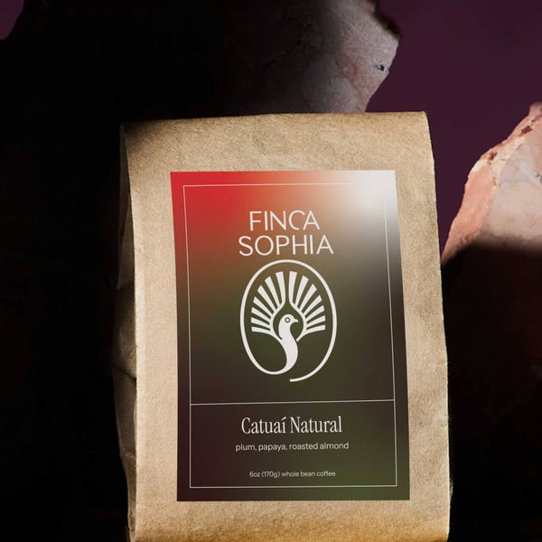 Panama Finca Sophia Catuaí Natural