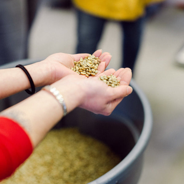 Roastery Tour - Friday, June 26 at 9:30AM