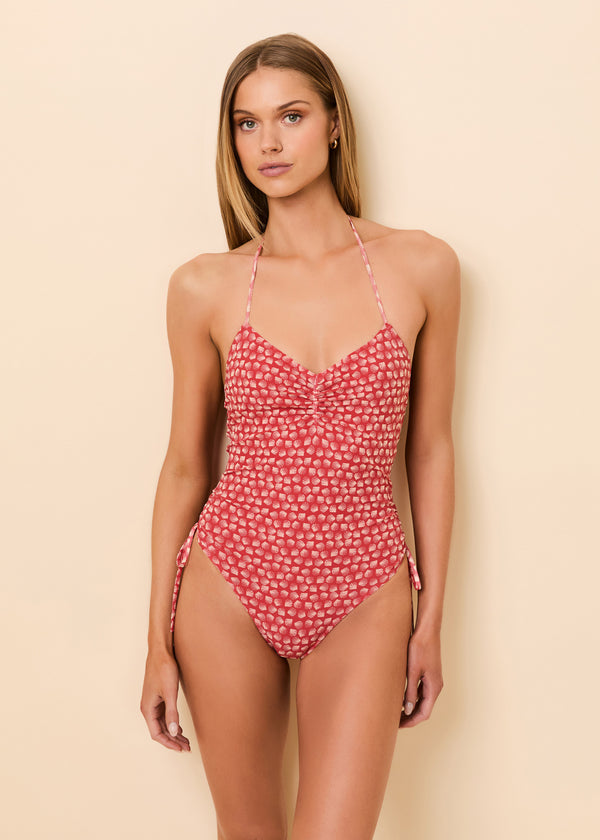 Adina One Piece Mesh Rooftop Red Shell Print